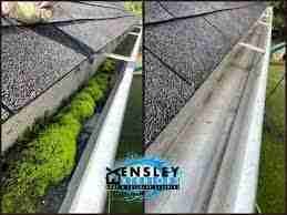 gutter cleaning